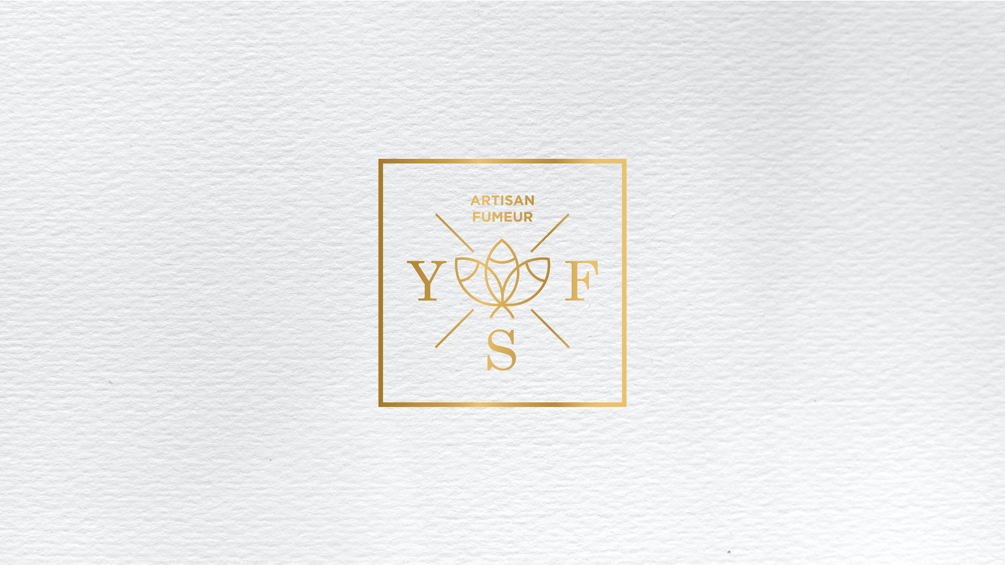 YSF LOGO